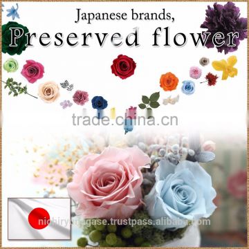 Classic and Colorful preserved head flower for flower arrangement , arrangement materials also available