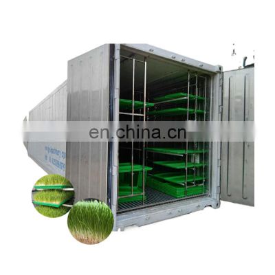 Professional  livestocks hydroponics green grass fodder growing system with walk in China