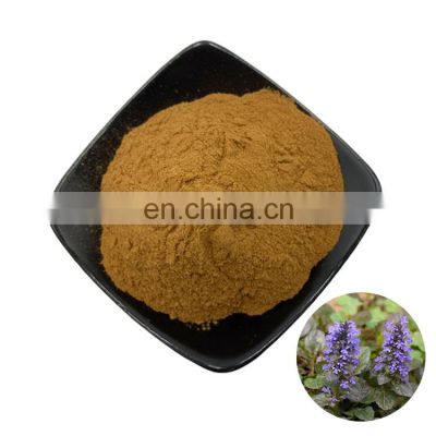 Best price Ajuga turkestanica turkesterone extract powder 10% 40% turkesterone