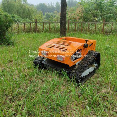 Customized Radio control lawn mower from China