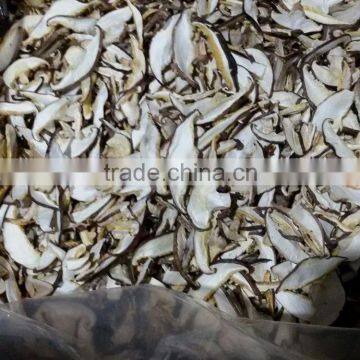 Shiitake Mushroom Slice Cultivation