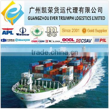 Door to door sea freight From Guangzhou/Shenzhen China to Antwerp Belgium