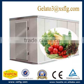 refrigerator display food storage ocean freezer