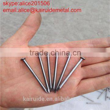 15 years high quality wood iron nail/common iron nail