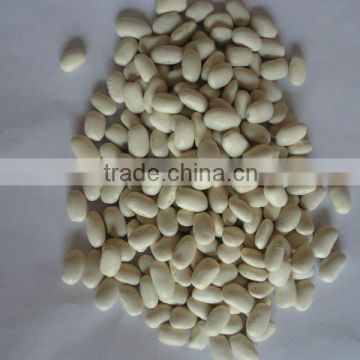 2011 crop white kidney beans