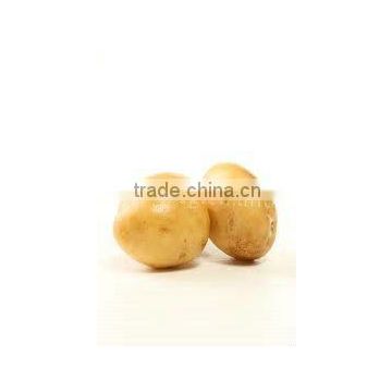 new crop farm fresh yellow potato
