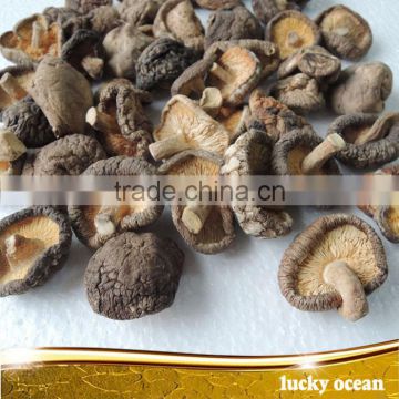 Smooth dried mushroom with stem cut foot