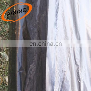 China agricultural plastic reflective mulch film for Philippines