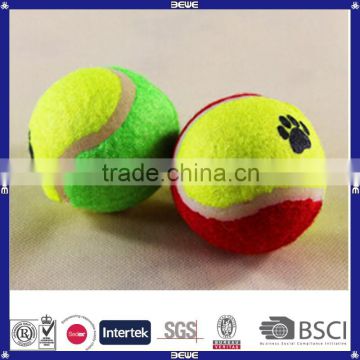 hot sale china promotional pet tennis