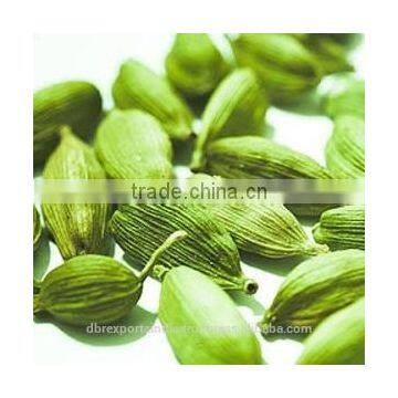 Cardamom Oil (Elettaria Cardamomum) from India