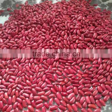 British type red kidney beans