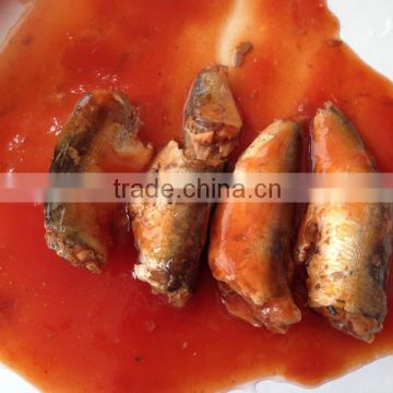 hot sale club can nutritious sardines tinned in tomato sauce