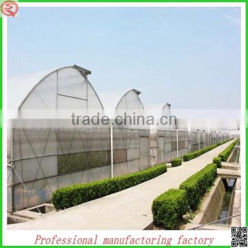 China Commercial plastic film greenhouse for sale