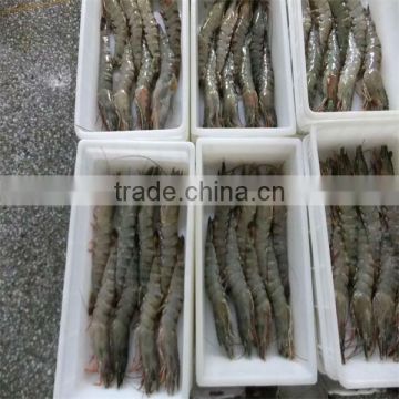 seafood mail order shrimp
