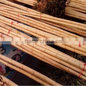 Cheap Bamboo Poles