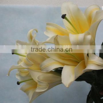 Most popular hot sale fresh lilies