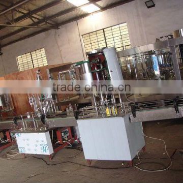 Automatic Linear Glass Bottle Filling Machinery/Line