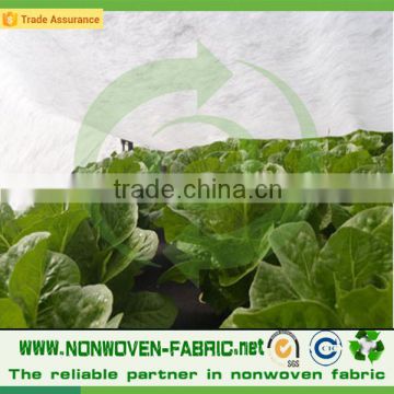 Hot-selling Non-woven Fabric, PP Non woven Fabric, PP Spunbond Nonwoven Fabric for Ariculture