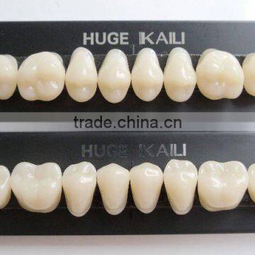 synthetic polymer teeth posterior