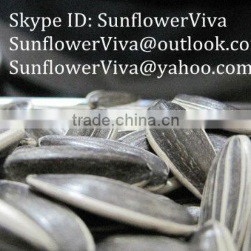 Sunflower 5009 seeds
