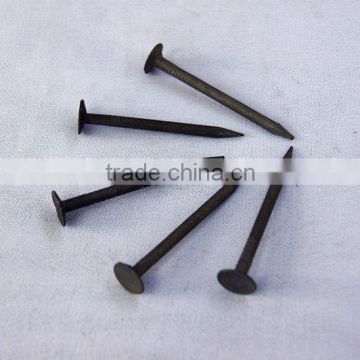 Black clout nails, Roofing nails, Linoleum nails with factory price