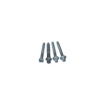 Sell Square Head Timber Screw Spikes