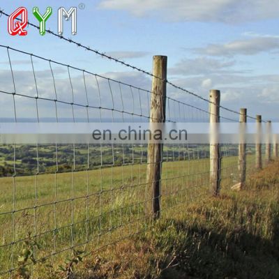 Fence Post Farm Steel Horse Fencing Sheep Wire Mesh Fence Hot Sale