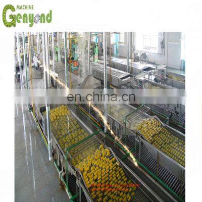 Custom made canning fruit plant with high quality