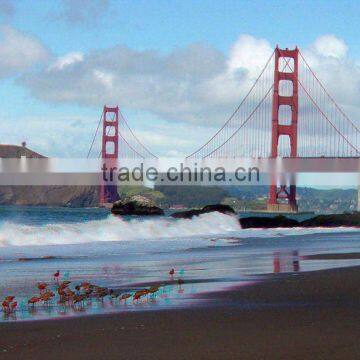 3d lenticular decorate picture