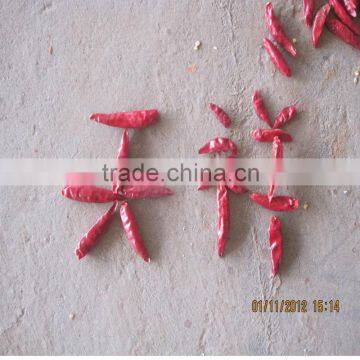 2012 new crop red chilli color
