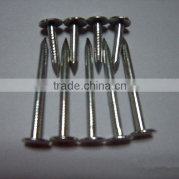 common nails factory and manufacture