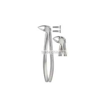 dental extraction forceps