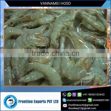 Mind-blowing Taste Pure Vannamei Hoso for Various Food Dishes