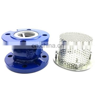 Ductile Iron Body PN10 PN16 Flange End Foot Valve With Stainless Steel Screen