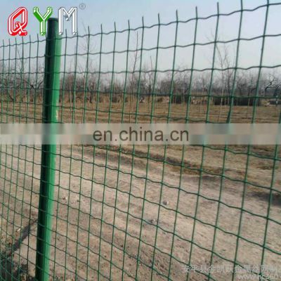Europe Wire Mesh Euro Fence Welded Holland Wire Mesh Roll