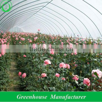 plastic tunnel greenhouse