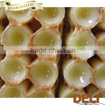 2016 Fresh High Quality Bee milk/Fresh Royal Jelly