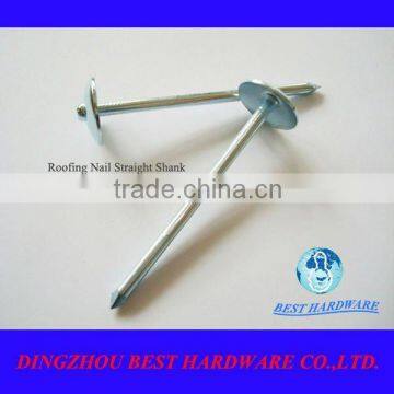 umbrella roofing iron nail