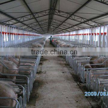 2013 hot sale automatic pig feeding system