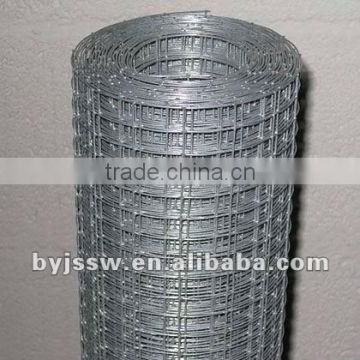 Welded Wire Mesh for Rabbit Farm (Factory)