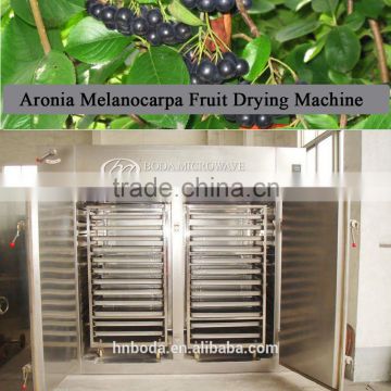 Aronia Melanocarpa Fruit Drying Machine