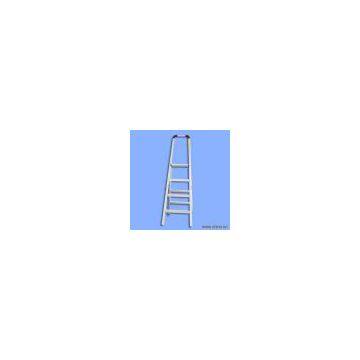 Sell Handrail Ladder