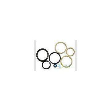 Non-toxic Viton / FKM / FPM O Ring / Gasket for Chemical Industry Medical Technique