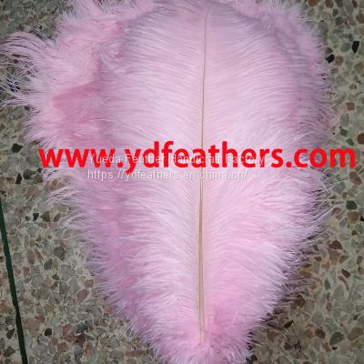Ostrich Feather/Plume Dyed Pink From China