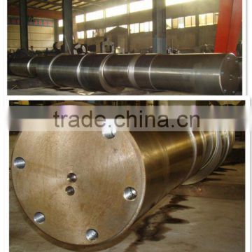 Forged Alloy Steel Eccentric Shaft