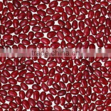 Chinese Small Red Kidney Beans Crop 2013