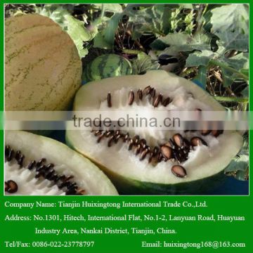 China High Quality Delicious Black melon Seeds for Your Best Choice