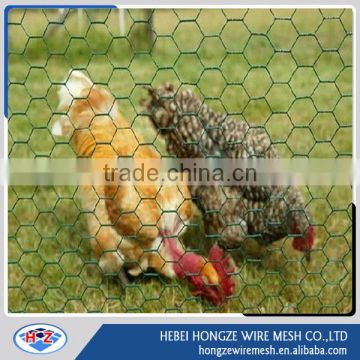 Cheap Galvanized or PVC Coated Hexagonal Chicken Wire Mesh