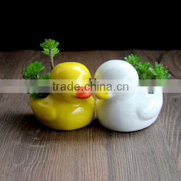 Cute mini duck ceramic pot home desktop decoration bonsai flower pots