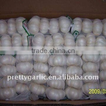 Chinese Fresh Garlic 2014 crop